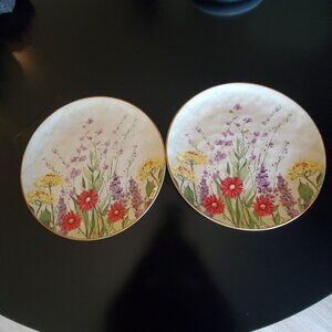 Set Of 2 Pier 1 Imports Botanical Garden Plates With Floral Design 10" Earthenwa